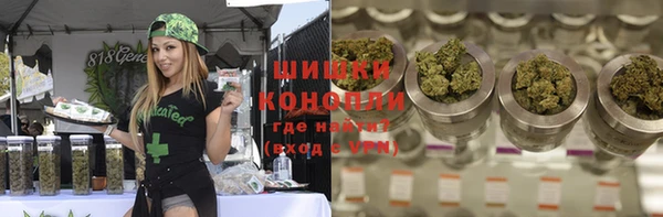 ГАЛЛЮЦИНОГЕННЫЕ ГРИБЫ Чекалин