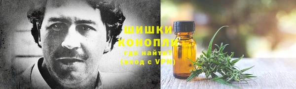ГАЛЛЮЦИНОГЕННЫЕ ГРИБЫ Чекалин