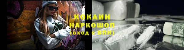 ГАЛЛЮЦИНОГЕННЫЕ ГРИБЫ Чекалин