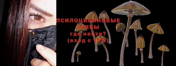 крисы Ханты-Мансийск