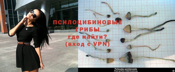 ГАЛЛЮЦИНОГЕННЫЕ ГРИБЫ Чекалин
