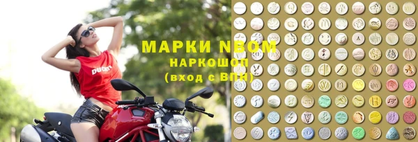 ГАЛЛЮЦИНОГЕННЫЕ ГРИБЫ Чекалин