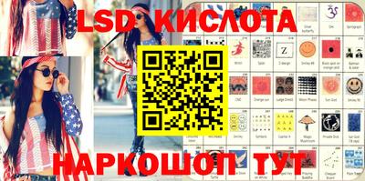 СК Бийск