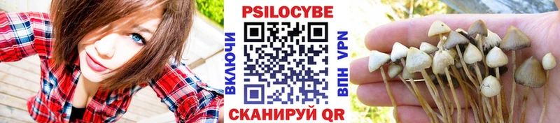 Галлюциногенные грибы мухоморы  Апрелевка 