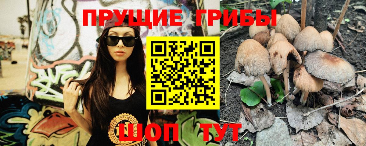 Псилоцибиновые грибы GOLDEN TEACHER Апрелевка