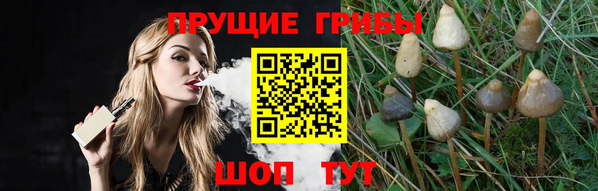 Галлюциногенные грибы Magic Shrooms  Вход с VPN  Апрелевка 